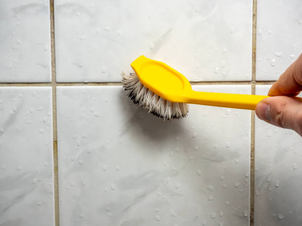 Best Attic Mold Removal  in Stanhope, NJ